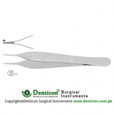 Mini-Adson Dissecting Forcep 1 x 2 Teeth Stainless Steel, 12 cm - 4 3/4"